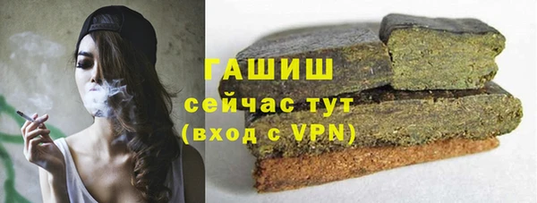 гашик Ладушкин