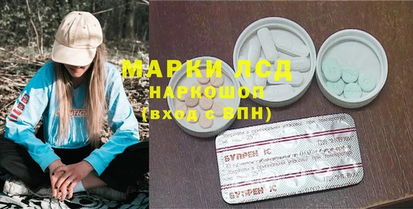 гашик Ладушкин
