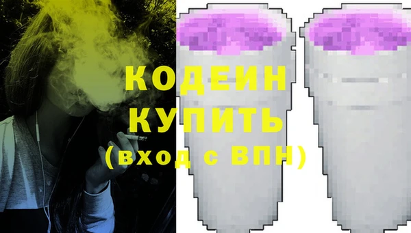 гашик Ладушкин