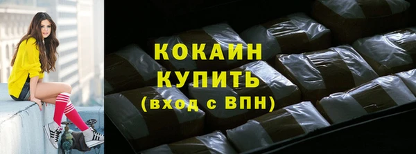 гашик Ладушкин