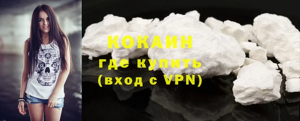 гашик Ладушкин