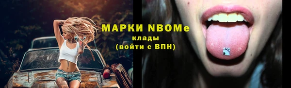 гашик Ладушкин