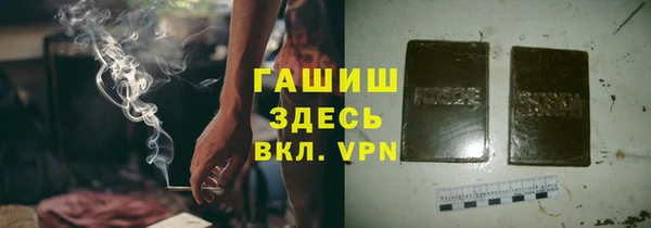 гашик Ладушкин