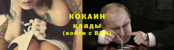 гашик Ладушкин