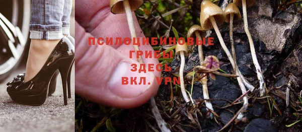 марки lsd Лабытнанги