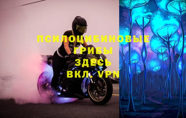 марки lsd Лабытнанги