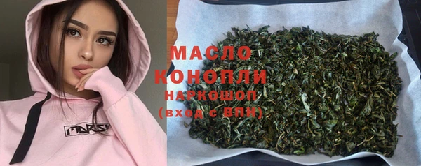 гашик Ладушкин