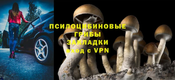 марки lsd Лабытнанги
