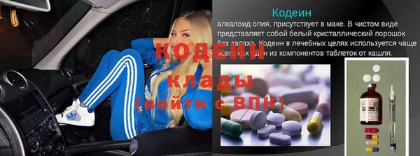 гашик Ладушкин