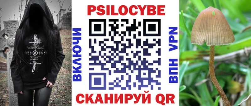 Купить  Калтан  Псилоцибиновые грибы GOLDEN TEACHER 